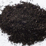 Read more about the article Umanyazini