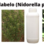 Read more about the article Umhlabelo