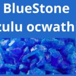 Read more about the article Bluestone (Uzulu ocwathile)