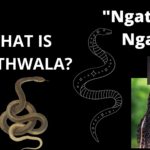 Read more about the article What is ukuthwala?￼