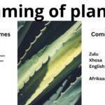 Read more about the article <strong>Naming of plants</strong>