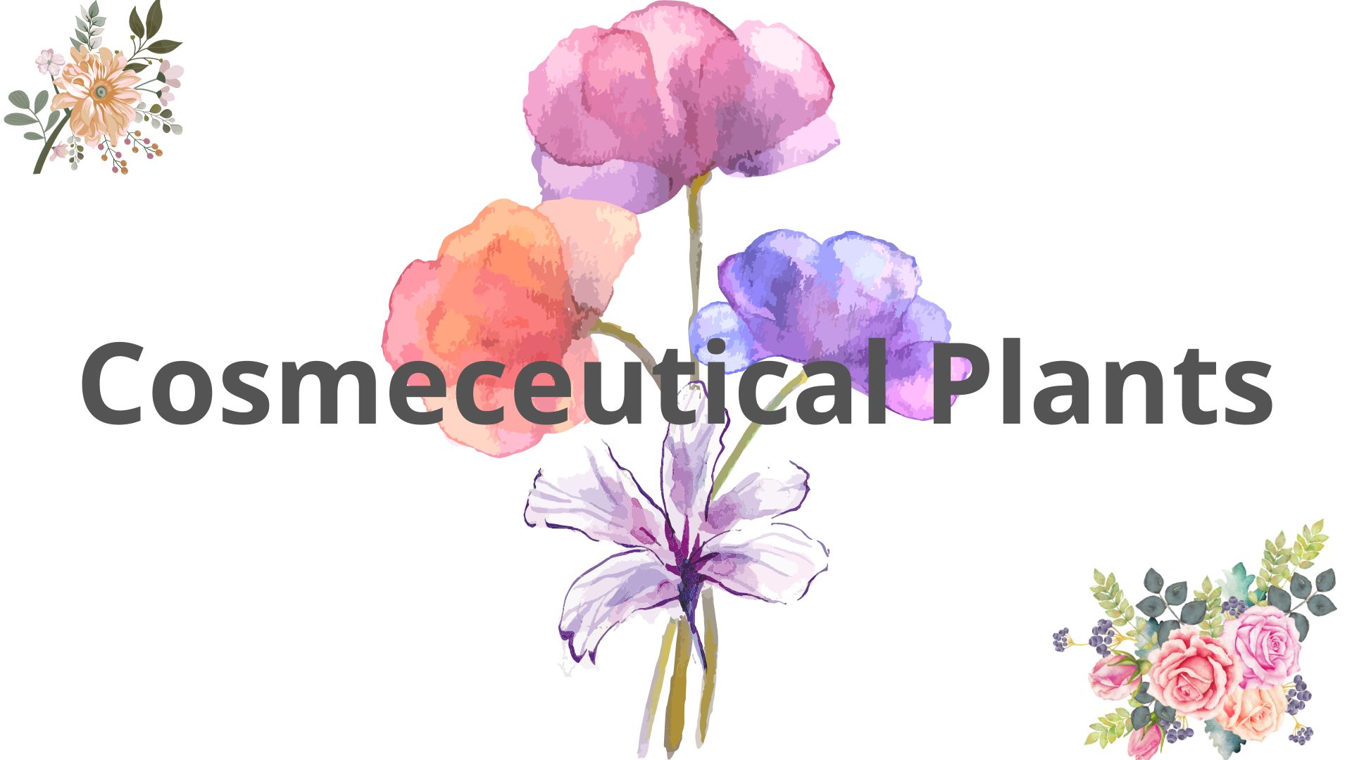 cosmeceutical plants