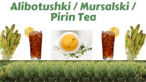 Read more about the article <strong>Alibotushki / Mursalski / Pirin Tea</strong>