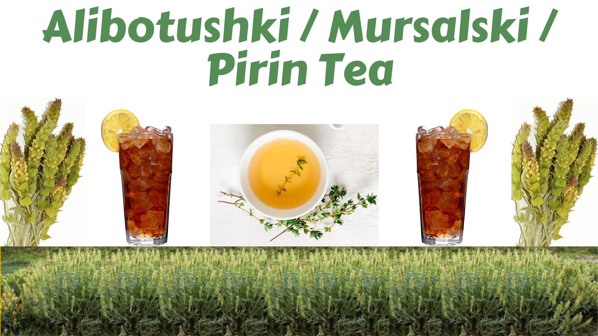 Alibotushki or Mursalski or Pirin Tea