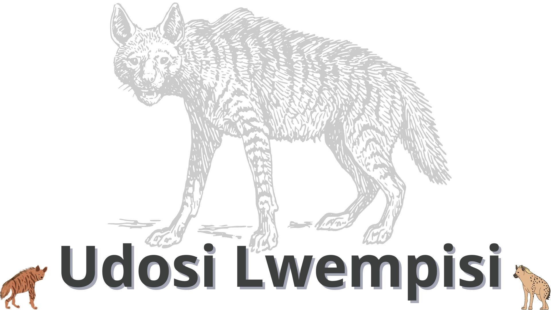 You are currently viewing <strong>Udosi lwempisi</strong>