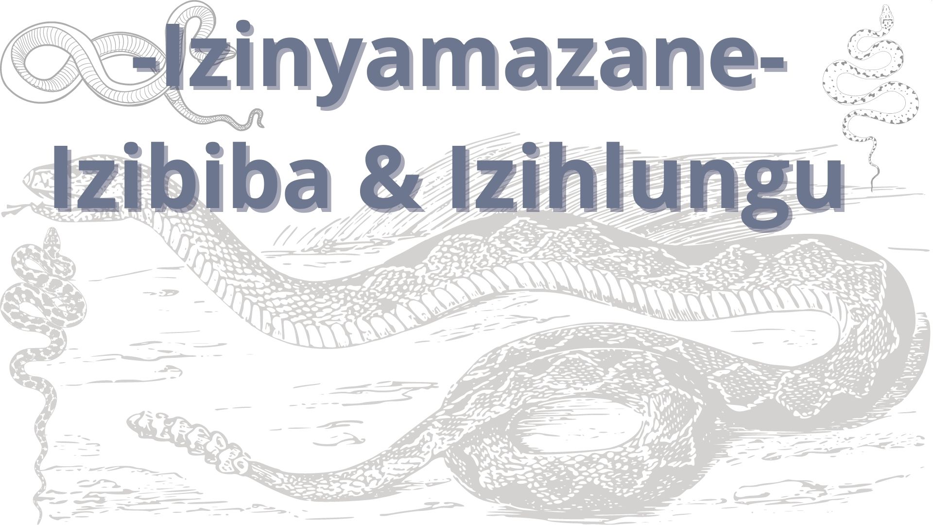 You are currently viewing <strong>Izinyamazane – izibiba & izihlungu </Strong>