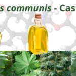 castor oil