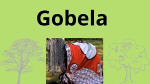 Read more about the article <strong>Gobela</strong>