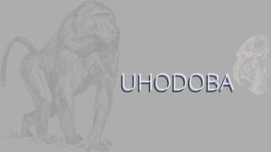 Read more about the article <strong>Uhodoba</strong>