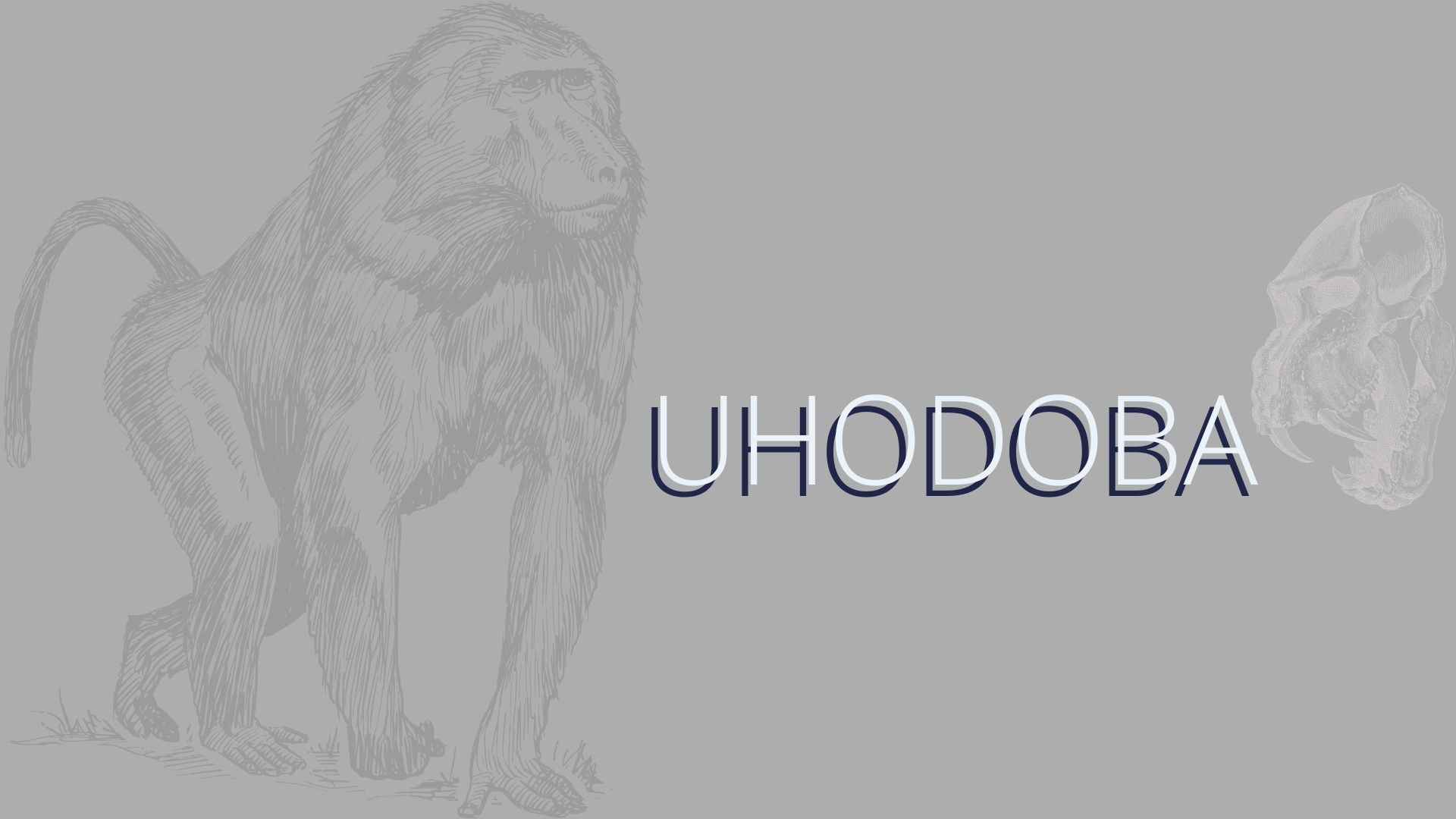 You are currently viewing <strong>Uhodoba</strong>