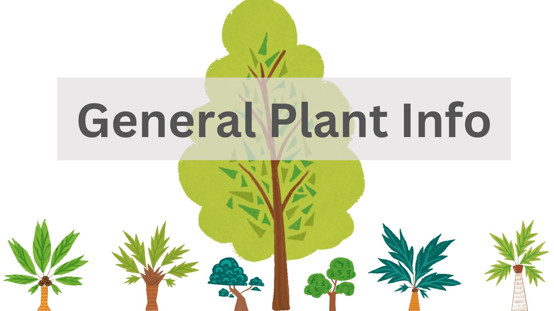 General plant info