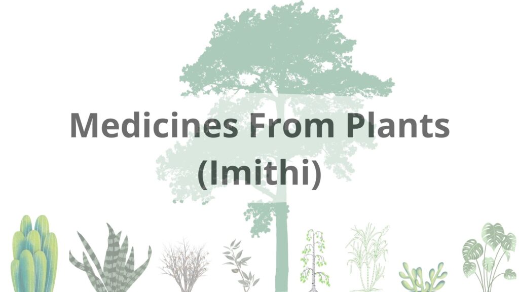 Medicines made from plants