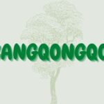 ABANGQONGQOZI