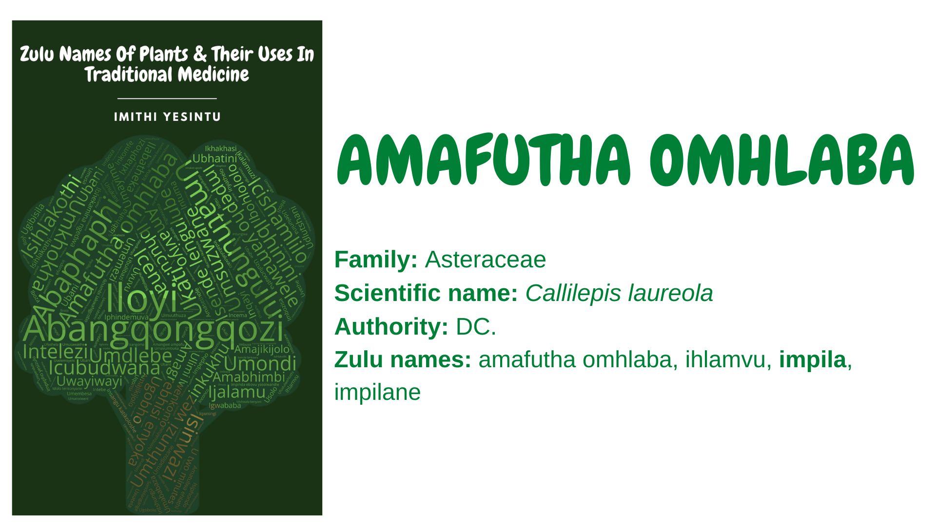 You are currently viewing Amafutha omhlaba