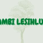 Ikhambi lesihlungu