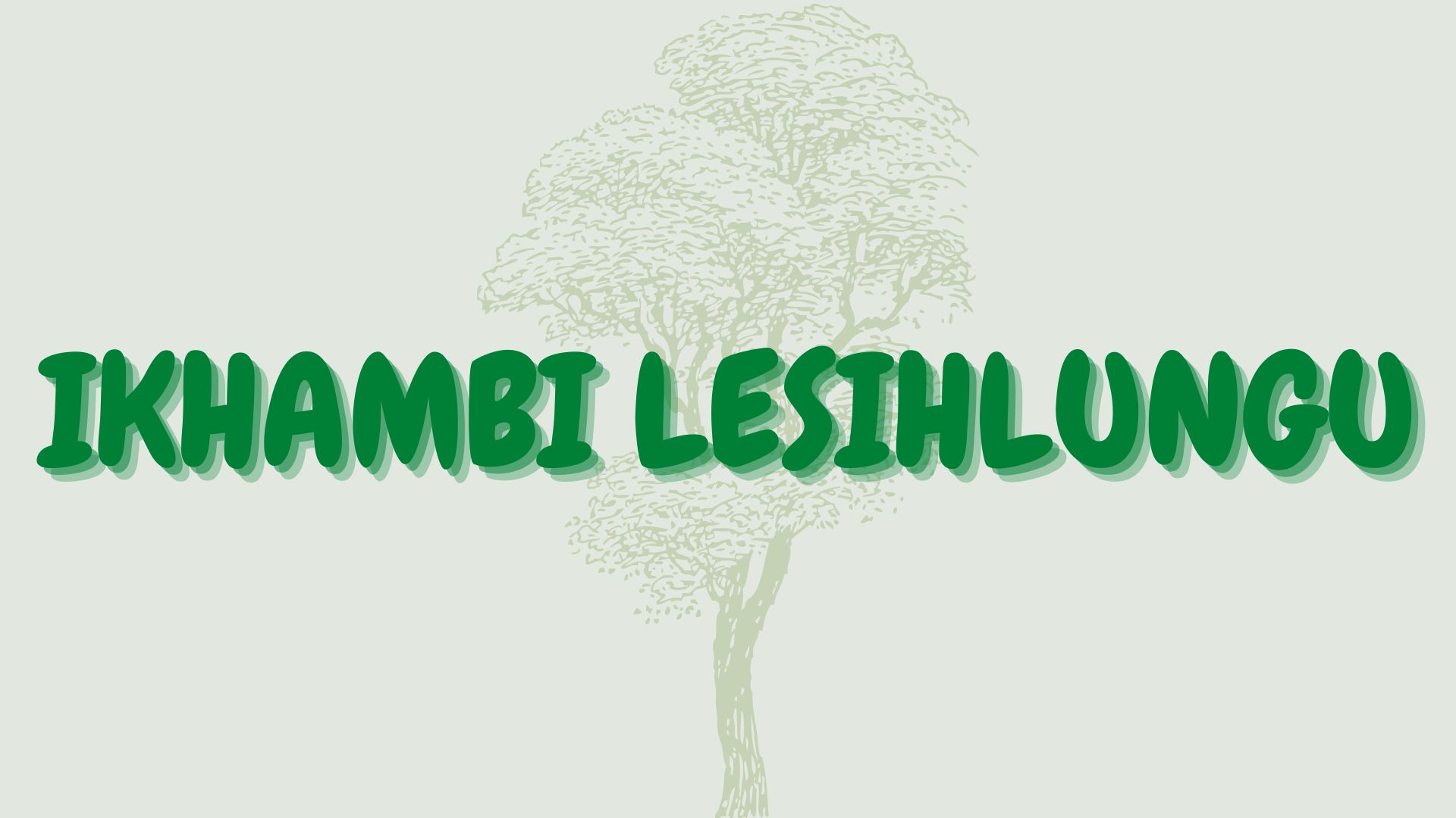 You are currently viewing Ikhambi lesihlungu