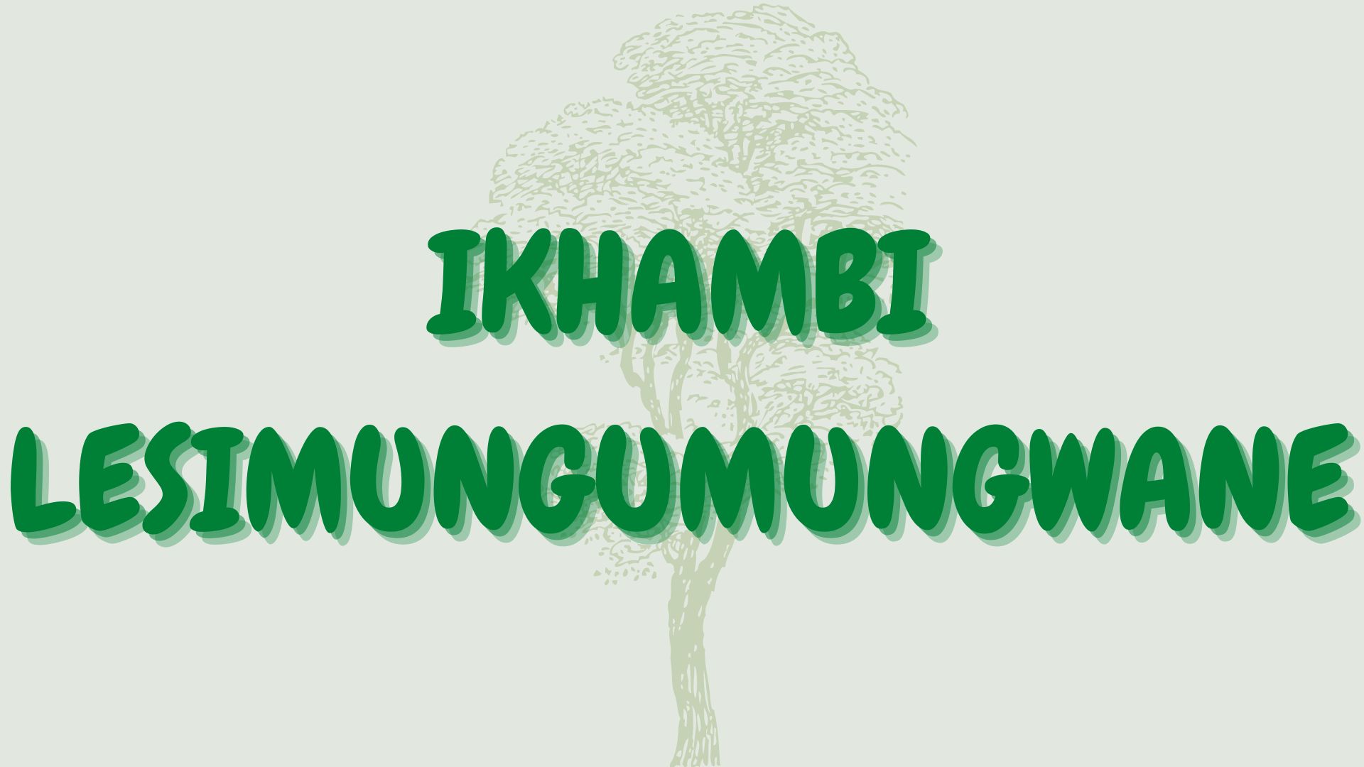 You are currently viewing Ikhambi lesimungumungwane