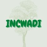 incwadi