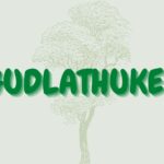 UGUDLATHUGELA