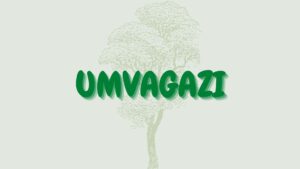 Read more about the article Umvagazi