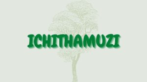 Read more about the article Ichithamuzi