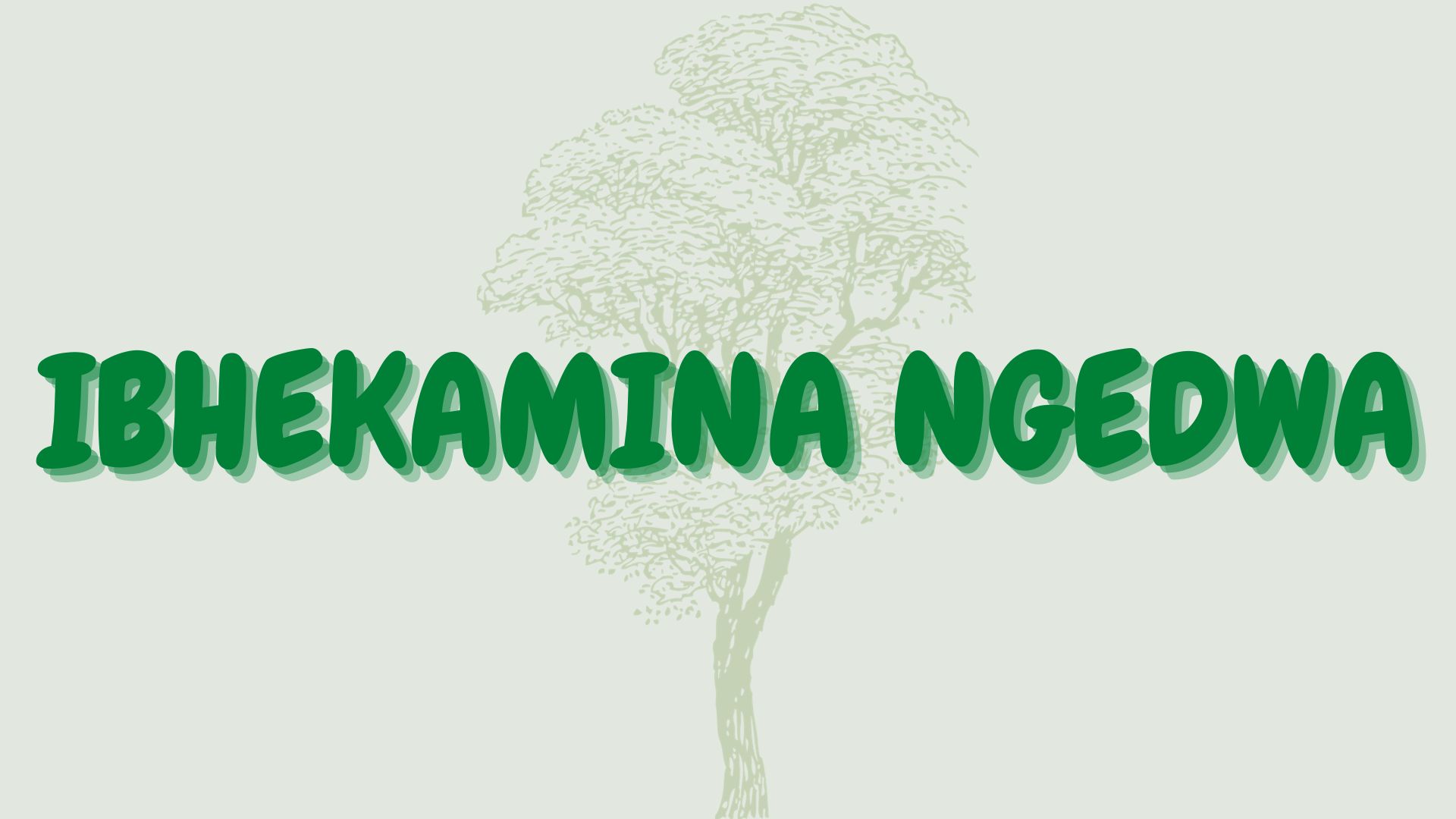 You are currently viewing iBhekamina ngedwa