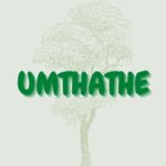 Read more about the article Umthathe
