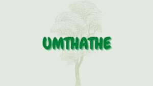 Read more about the article Umthathe