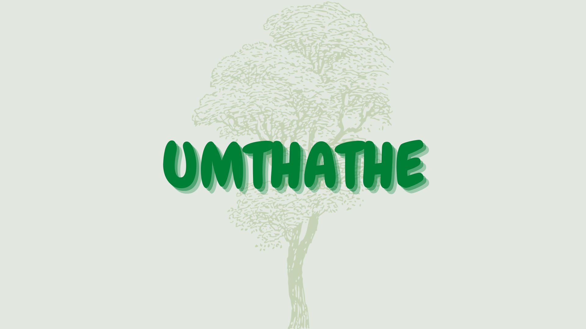 You are currently viewing Umthathe