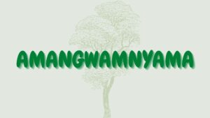 Read more about the article Amangwamnyama