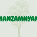 Read more about the article Amanzamnyama