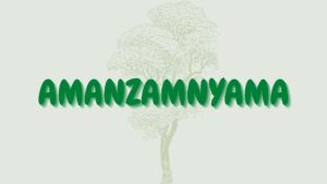 Read more about the article Amanzamnyama