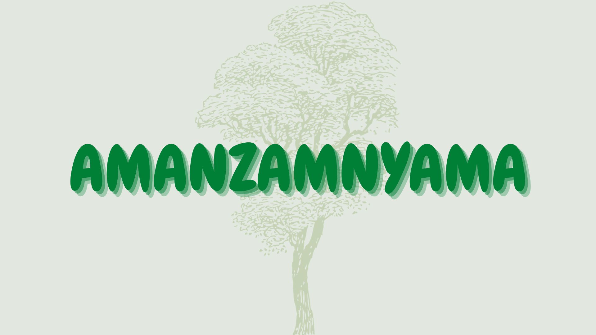 amanzamnyama