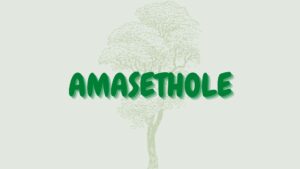 Read more about the article Amasethole