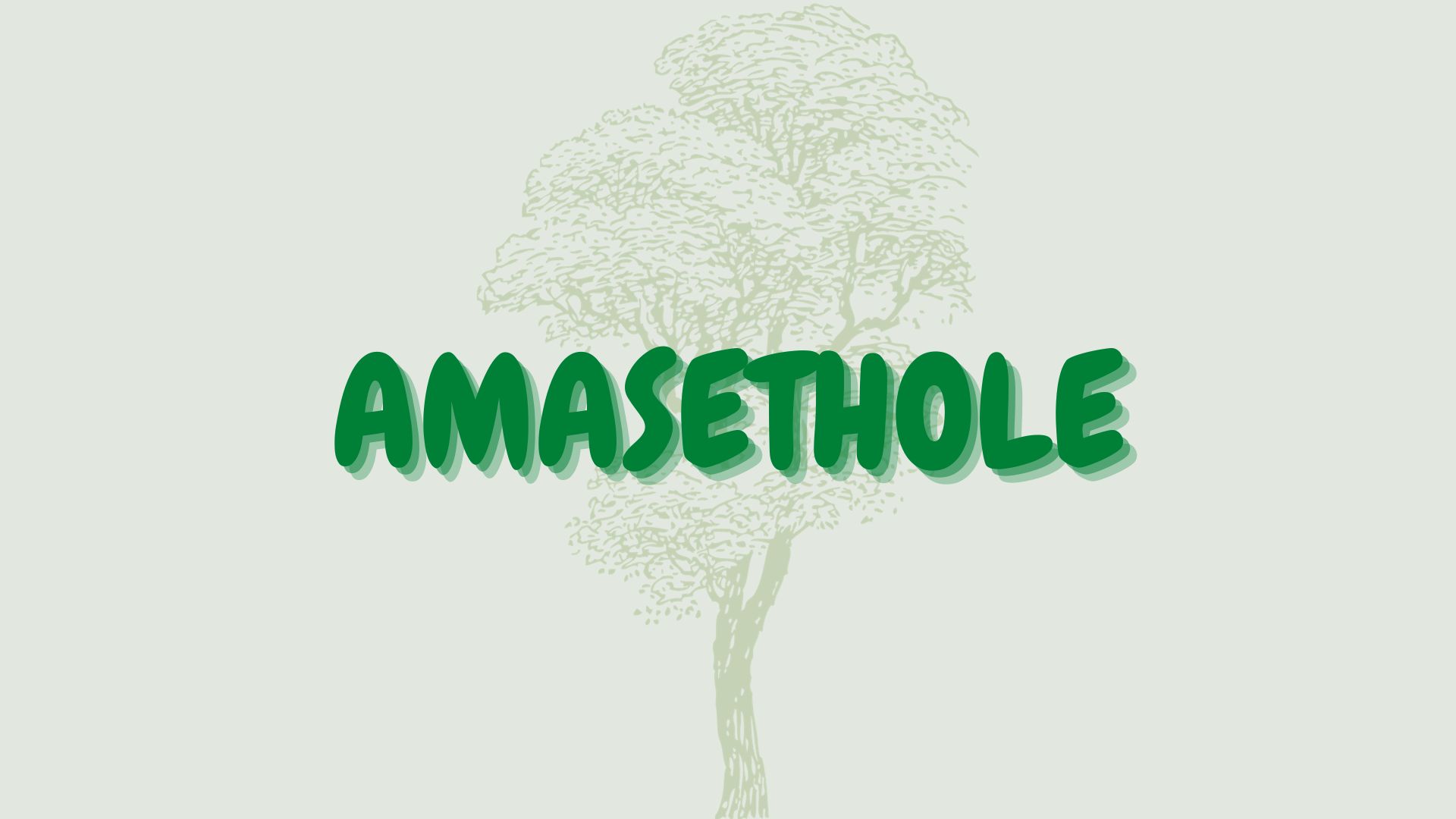 You are currently viewing Amasethole