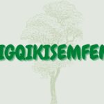 Read more about the article iSigqikisemfene