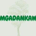Read more about the article Umgadankawu