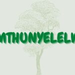 Read more about the article Umthunyelelwa