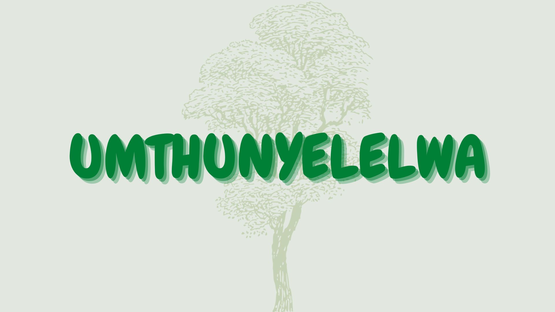 You are currently viewing Umthunyelelwa
