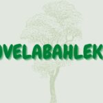 Read more about the article Uvelabahleke