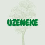 Read more about the article Uzenele