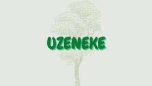 Read more about the article Uzenele