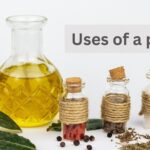 Read more about the article Uses of plants