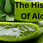 The History Of Aloes