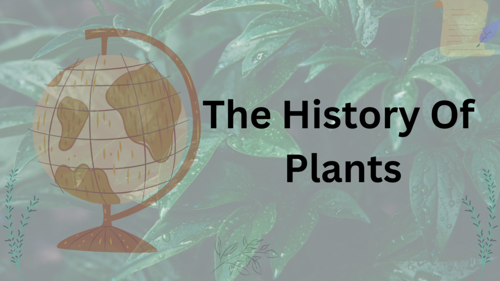 The History Of Plants