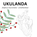 ukulanda