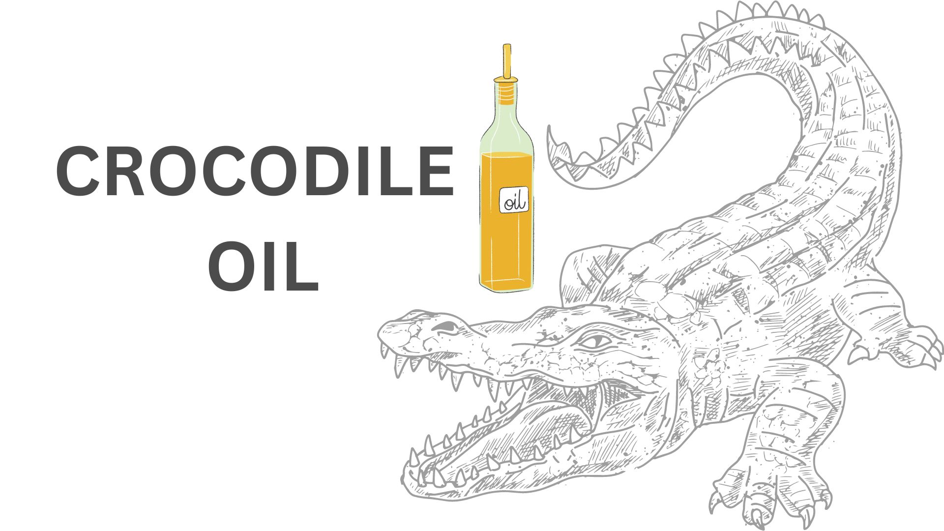You are currently viewing Crocodile oil – Amafutha engwenya