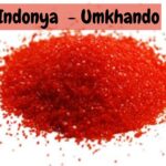 indonya
