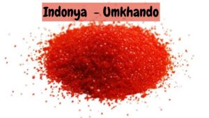 Read more about the article Indonya – Umkhando