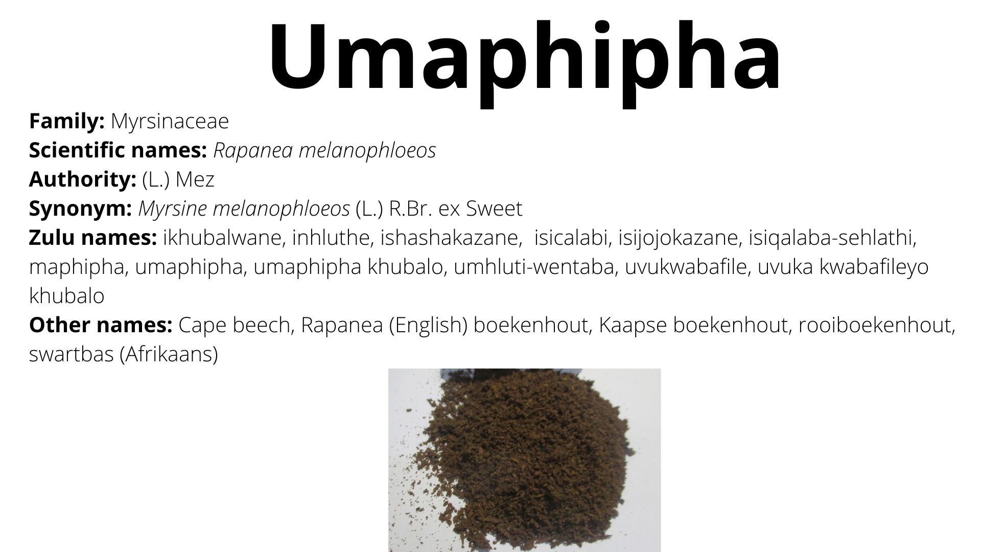 Umaphipha